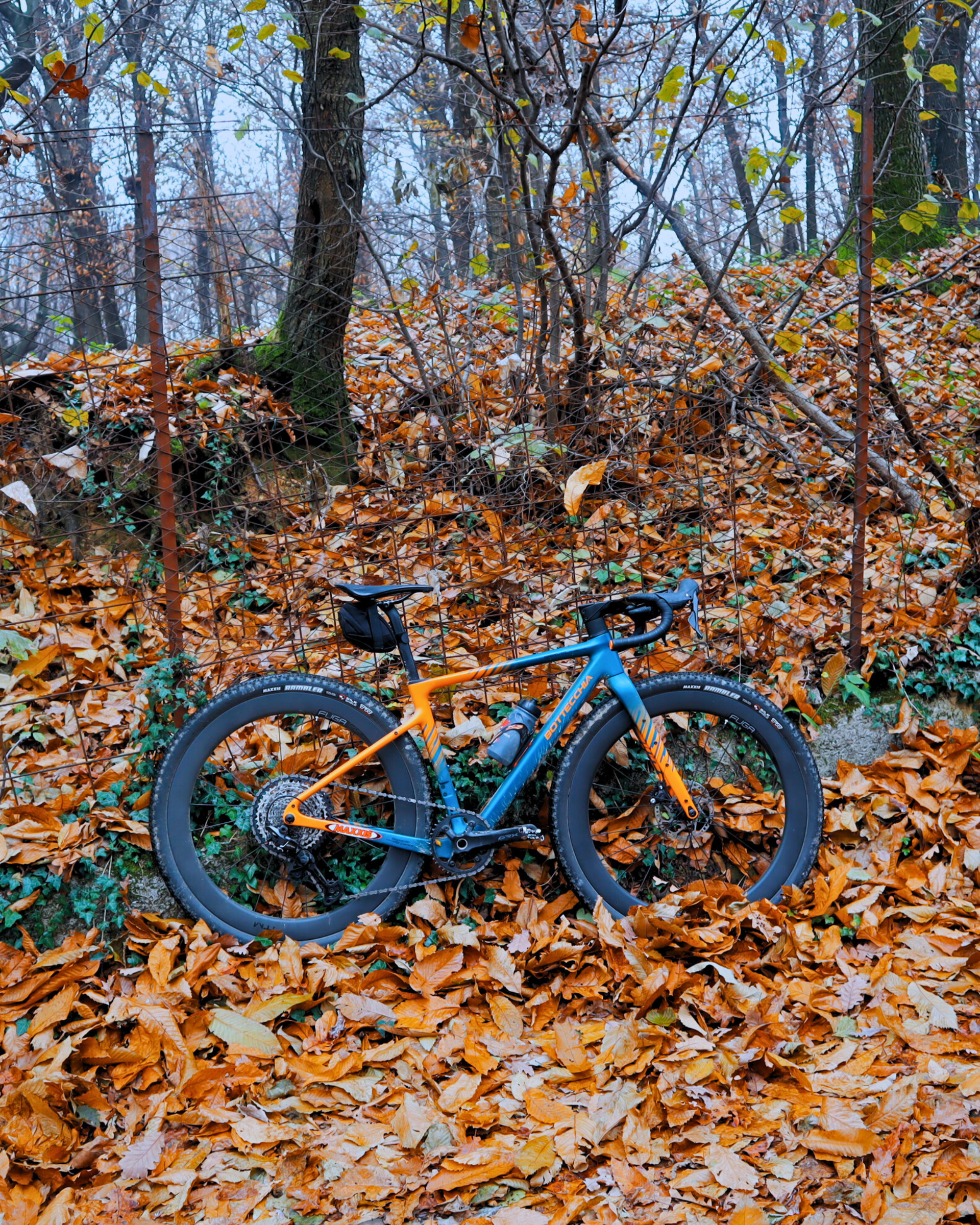 Gravel in Autunno: 当自行车迎来一年中最辉煌的时刻